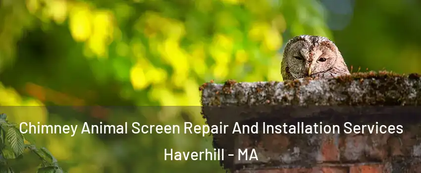  Chimney Animal Screen Repair And Installation Services Haverhill - MA